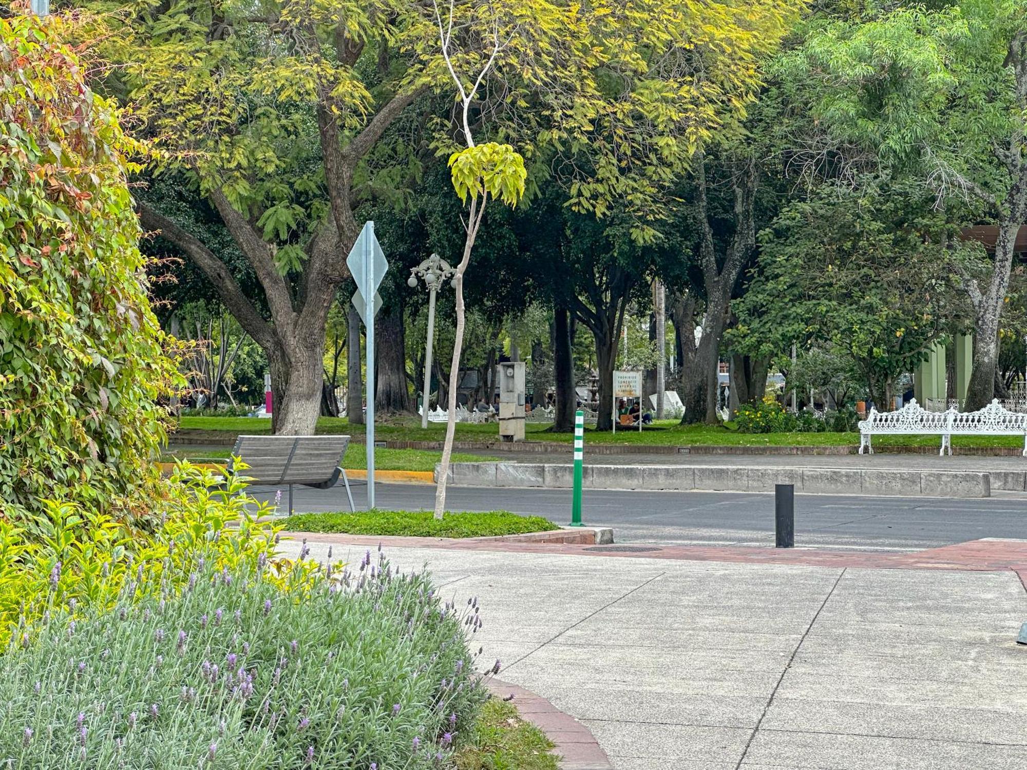 Estudio 3 /Glorieta Chapalita Guadalajara Esterno foto