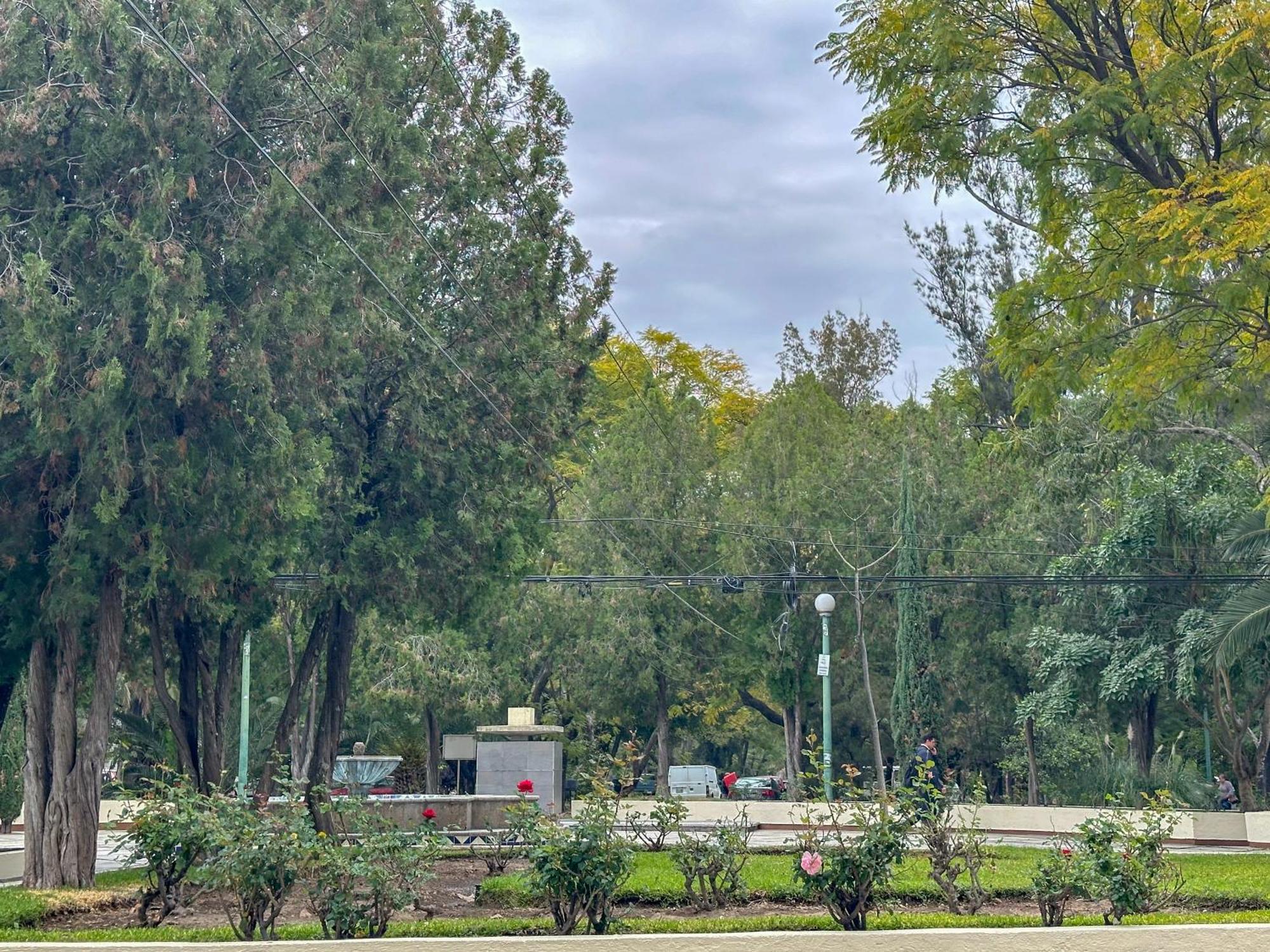 Estudio 3 /Glorieta Chapalita Guadalajara Esterno foto