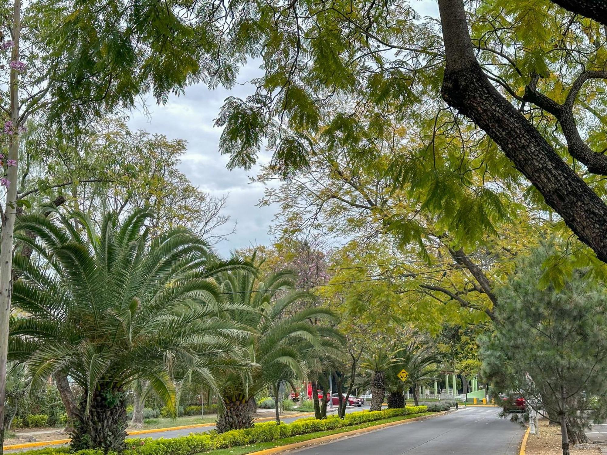 Estudio 3 /Glorieta Chapalita Guadalajara Esterno foto